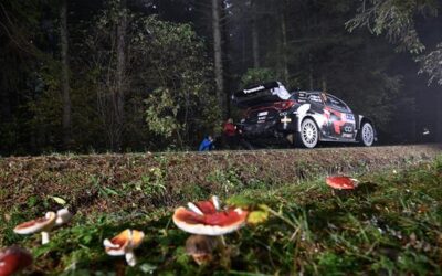 Ogier solide, Neuville à la dérive