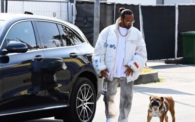 “Nous ne savons pas s’il se réveillera”: l’inquiétude de Lewis Hamilton, qui zappe les tests Pirelli pour rester auprès de son chien, dans le coma