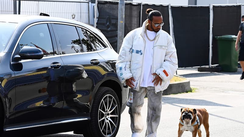 « Nous ne savons pas s’il se réveillera »: l’inquiétude de Lewis Hamilton, qui zappe les tests Pirelli pour rester auprès de son chien, dans le coma