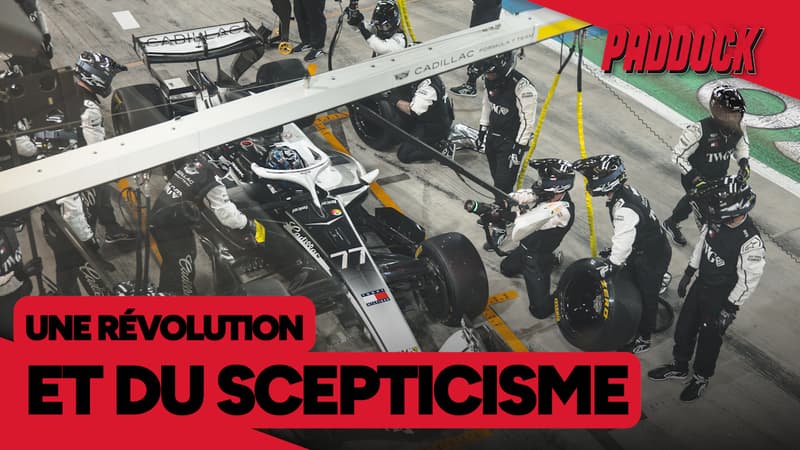 Monoplaces, énergie, moteur… la F1 va faire sa révolution et ça ne fait pas que des heureux !