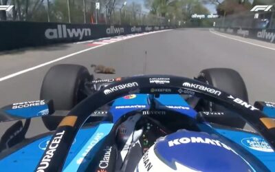 F1 (GP du Canada): l’improbable accident d’Alex Albon qui heurte un mur après avoir écrasé une marmotte